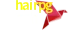 Payment Method